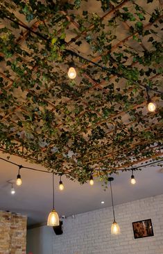 the ceiling is covered with vines and light bulbs