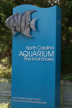 a sign for the north carolina aquarium and pine knoll stores in front of some trees