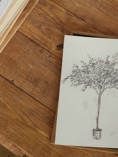 a drawing of a tree on a piece of paper next to a pen and pencil