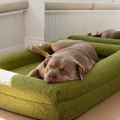 a dog laying on top of a green bed in the middle of a living room