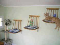 a cat laying on top of a wooden chair next to two other cats hanging from the ceiling