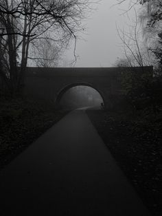 a black and white photo of a bridge in the fog with trees on either side