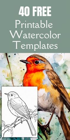 Unleash your inner artist with our collection of 40 Free Watercolor Templates and Stencils! Perfect for beginners and seasoned painters alike looking to create stunning greeting cards, unique wall art. Grab these Free Printables now to inspire your next watercolor masterpiece! #WatercolorArt #Freebies #DIYCrafts #ArtisticInspiration #PaintingTemplates Pictures To Watercolor Paint, Bird Pictures Art Paintings, Free Watercolour Printables, Watercolour Outline Drawings, Easy Watercolor Birds For Beginners, Flowers To Paint Watercolor, Free Sketch Drawings, Watercolor Tracing Patterns, Sketches For Watercolor Painting