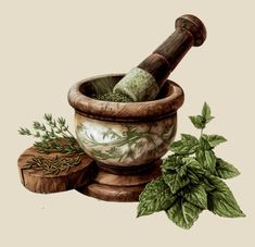 an illustration of herbs in a mortar bowl