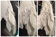 three pictures of white feathers hanging on a wall