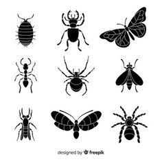 black and white insect silhouettes