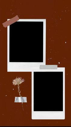 two computer monitors sitting next to each other on top of a brown table with a flower