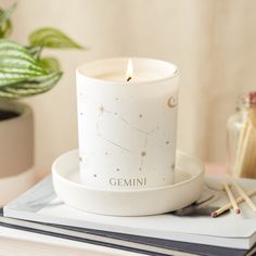 a candle sitting on top of a book next to a potted plant and some matches