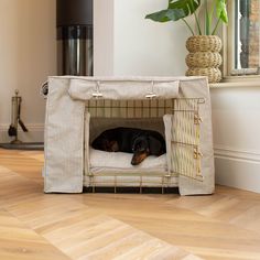 a black and brown dog laying in its bed on the floor next to a potted plant