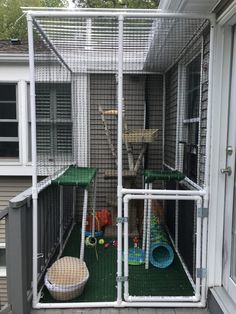 a large white caged in animal house with two cats and one dog on the other side