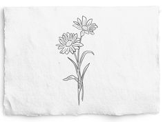 a drawing of two daisies on a piece of paper