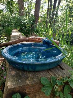 a blue bowl sitting on top of a wooden table in the woods next to trees