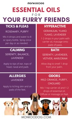 the top 10 essential oils for your furry friend's health and hygiene needs info