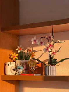 some flowers are sitting on a shelf with a camera