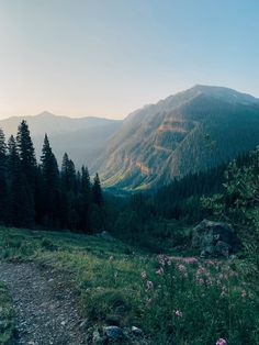 the sun is shining on some mountains and flowers in the foreground, with pink wildflowers to the right