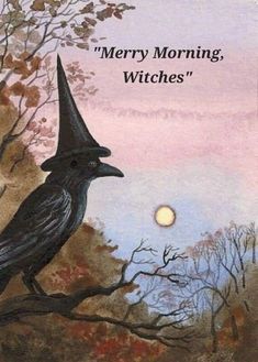 a black bird sitting on top of a tree branch next to a full moon with the words merry morning, witches