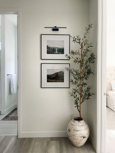 a white vase with a plant in it next to pictures on the wall and a mirror