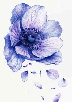 a drawing of a purple flower with petals