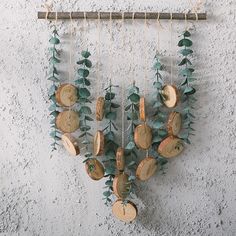 a wall hanging made out of tree slices and branches with green leaves on the side