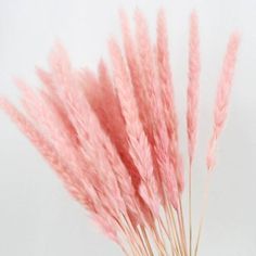 some pink flowers in a vase on a table