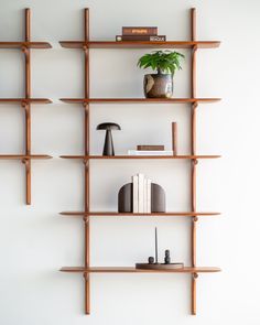 a wooden shelf with books, plants and other items on it against a white wall