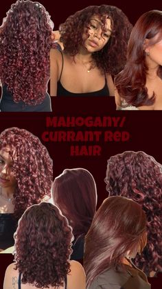 Mahogany / currant red hair Cherry Red Hair Color, Red Hair Ideas, Red Hair Color Ideas, Hair Color Mahogany, Mahogany Hair, Cherry Red Hair, Dyed Curly Hair, Highlights Curly Hair, Red Hair Inspo