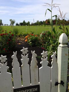 a white picket fence with flowers in the background and a sign that says stumpkin farms