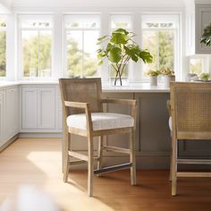 two chairs sitting in front of a kitchen counter with potted plants on top of it