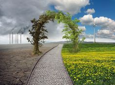 two different views of the same landscape with trees and wind mills