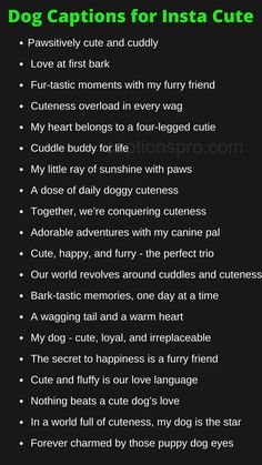 Dog Captions for Insta Cute Instagram Bio Ideas For Pets, Quote For Dogs Instagram, I Love My Dog Quotes Funny, About Dogs Quotes, Caption For Pic With Dog, Insta Caption For Pic With Dog, Cute And Funny Captions, Paw Captions Instagram, Quote On Dogs