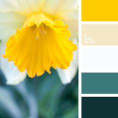 a yellow and white flower with green leaves in the background is featured in this color palette