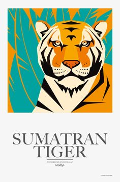 a tiger with the words sumatran tiger on it