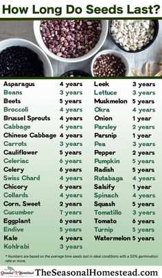 an image of how long do seeds last? info poster with text overlaying it