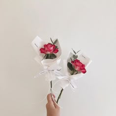 someone is holding three roses in their hand and tied to the wall behind them with ribbon