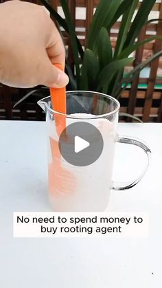 a person is holding an orange carrot in a cup