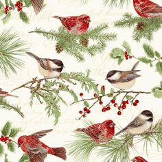 the birds are sitting on the branches of the tree, and berries all around them