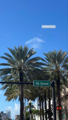 palm trees line the street in front of a blue sky with white clouds and buildings