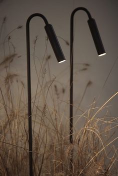 two black lamps sitting on top of grass next to each other in front of a wall