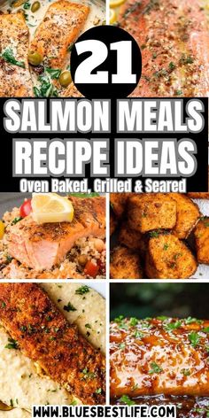 salmon meal collage with text overlay that reads 21 salmon meals recipe ideas oven baked grilled and seasoned