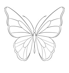 the outline of a butterfly is shown in black and white, with one wing extended