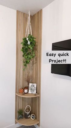 a corner shelf with some plants on it