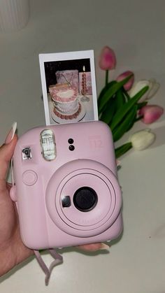 a person holding a pink camera with a cake in the back and flowers behind it