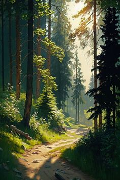 a painting of a path in the woods with trees on either side and sun shining through