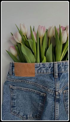 Discover genius jeans storage ideas to organize your wardrobe effortlessly! Maximize space and style with creative solutions for a clutter-free closet. Denim Display, Flatlay Clothes, Denim Photoshoot, Diwali Pictures, Cherry Baby