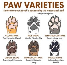 the paw varieties for dogs are shown in different colors and sizes, including pink, brown,