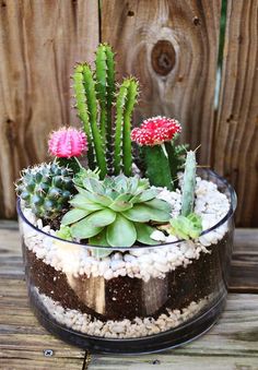 a small potted plant sitting on top of a wooden table next to a fence