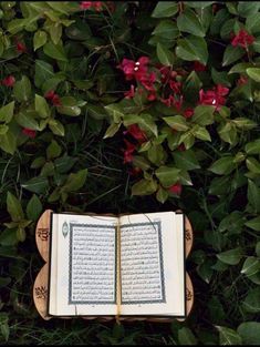 an open book sitting on top of a wooden table in front of green leaves and flowers