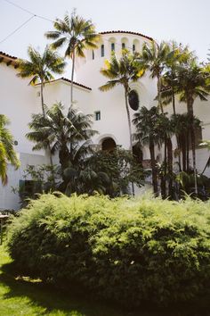 a large white building surrounded by palm trees