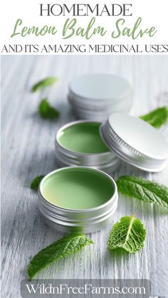 homemade lemon balm salve Lemon Balm Salve, Balms And Salves, Lemon Balm Recipes, Herbal Salve Recipes, Healing Salve Recipe, Melissa Officinalis