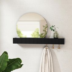 there is a mirror on the wall and a towel rack in front of it with a potted plant